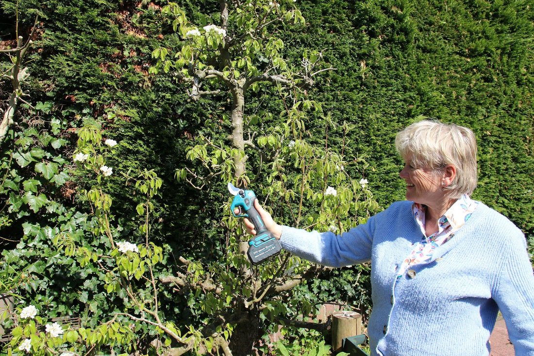CraftRoot 21V accu-tuingereedschap: snoeischaar, kettingzaag en bladblazer