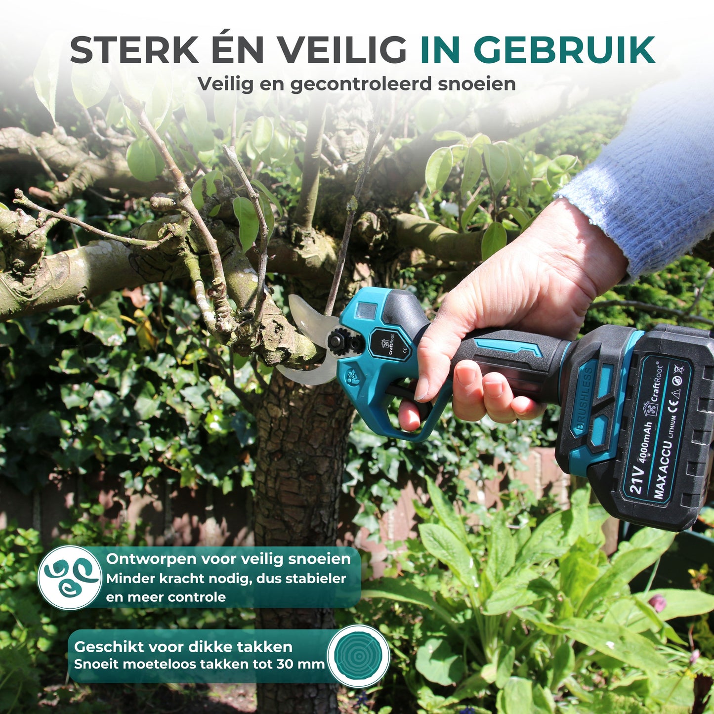 Elektrische Snoeischaar PRO + Verlengstok Set –  2× 4Ah Accu & Opbergkoffer