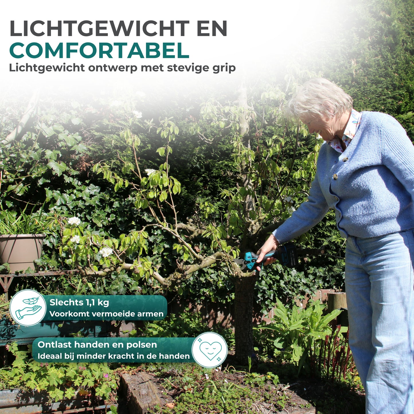 Elektrische Snoeischaar PRO + Verlengstok Set –  2× 4Ah Accu & Opbergkoffer